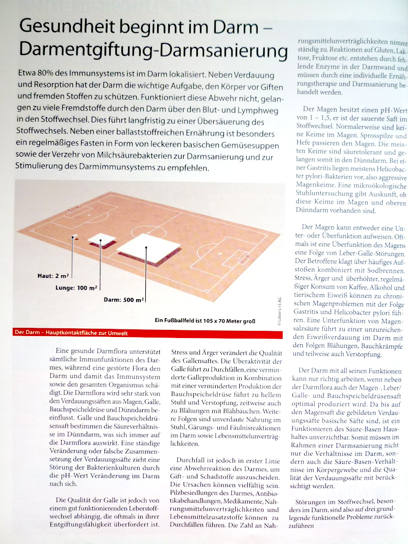 2006-04-Heilpraxis-Magazin.jpg